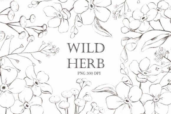 Download Wildflower Png. Vintage Flowers - Wildflower png Collection